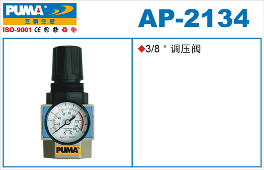 AP2134s